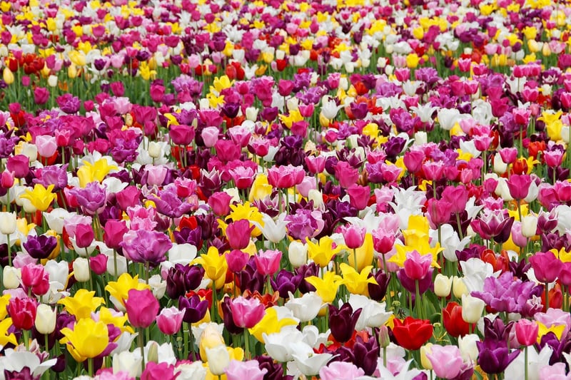 Netherlands